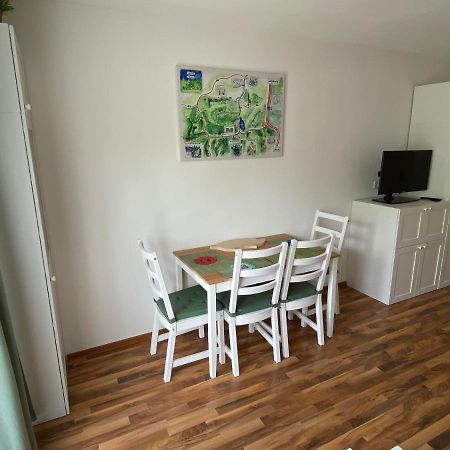 Inn Apartment Piesendorf Ngoại thất bức ảnh