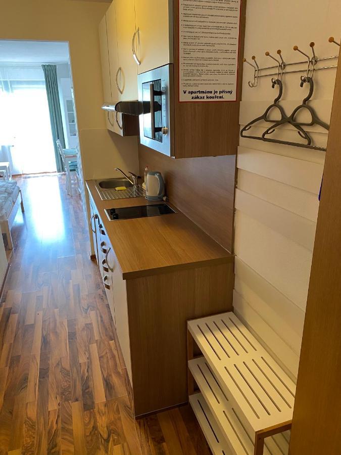 Inn Apartment Piesendorf Ngoại thất bức ảnh